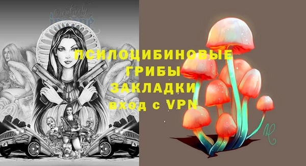 Альфа ПВП Нягань