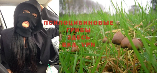 Альфа ПВП Нягань