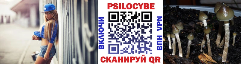 Галлюциногенные грибы мицелий  купить закладку  Выборг 