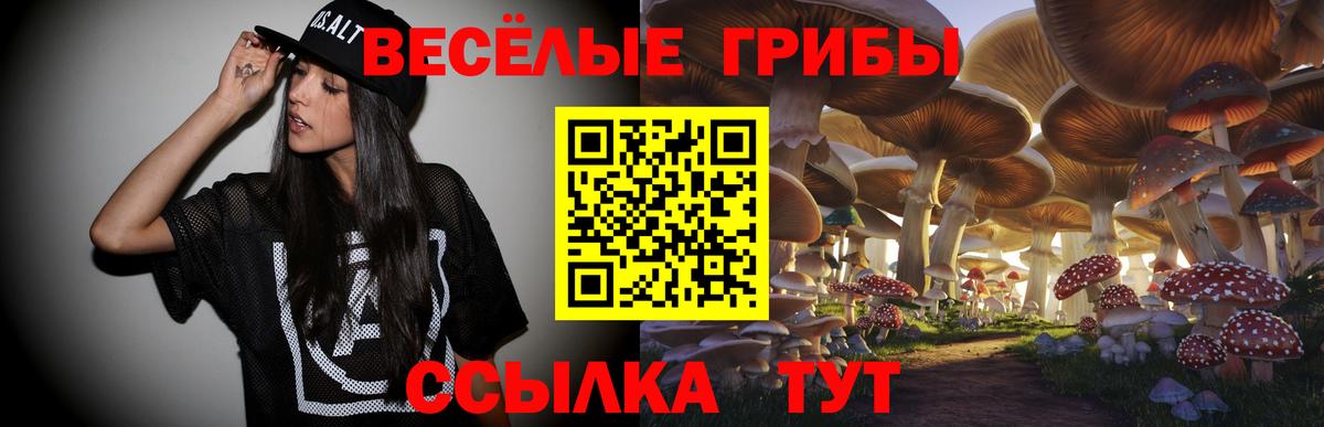 Выборг  дарнет шоп  Вход с VPN  Галлюциногенные грибы прущие грибы 