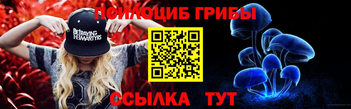 Галлюциногенные грибы Psilocybine cubensis  Выборг 