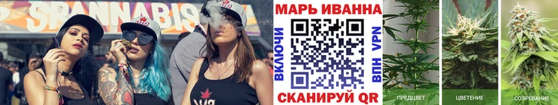Бошки Шишки ГИДРОПОН Выборг