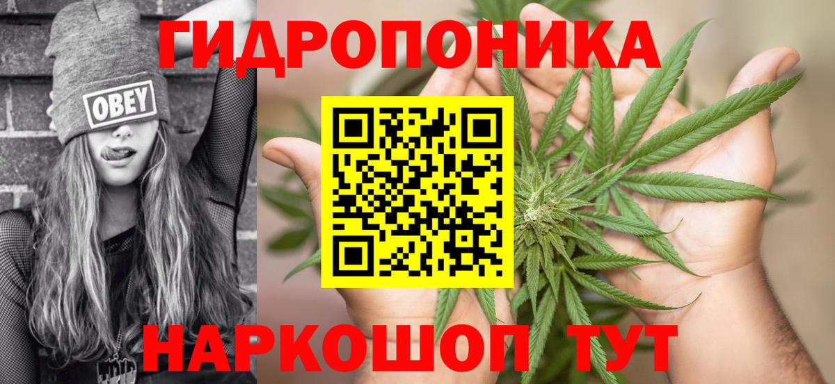 Марихуана планчик  Вход с VPN  Выборг  Каннабис семена  Марихуана Amnesia 